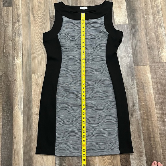 Calvin Klein Sleeveless Sheath Dress with Textured Panels - Picture 10 of 13